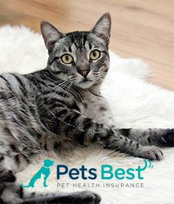 Pets Best insurance logo