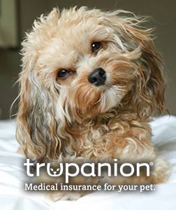 Trupanion insurance logo