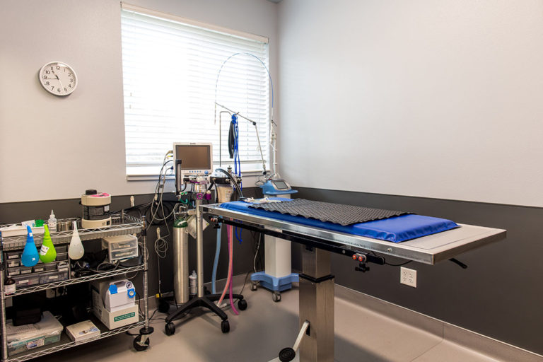 Home — Cottonwood Veterinary Clinic Cheyenne Wyoming