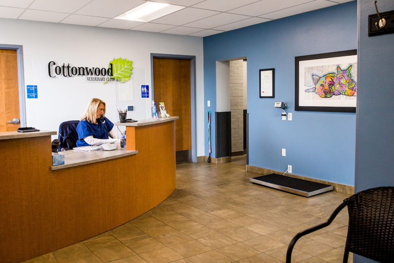 Home — Cottonwood Veterinary Clinic Cheyenne Wyoming